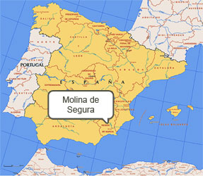 Mapa de Molina de Segura